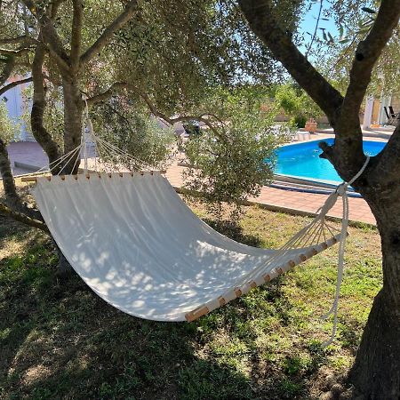 Villa Paludo Novigrad  Eksteriør billede