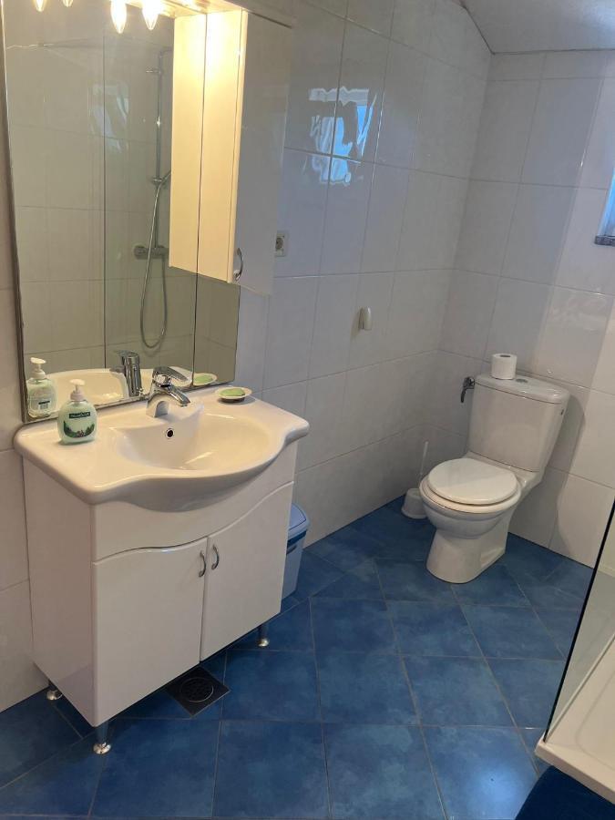 Villa Paludo Novigrad  Eksteriør billede
