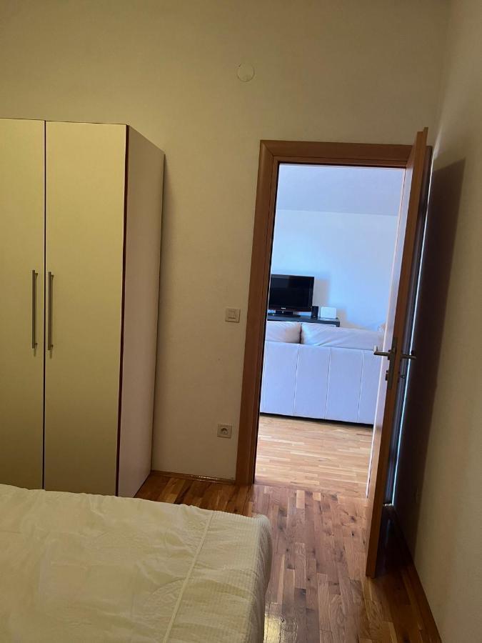Villa Paludo Novigrad  Eksteriør billede