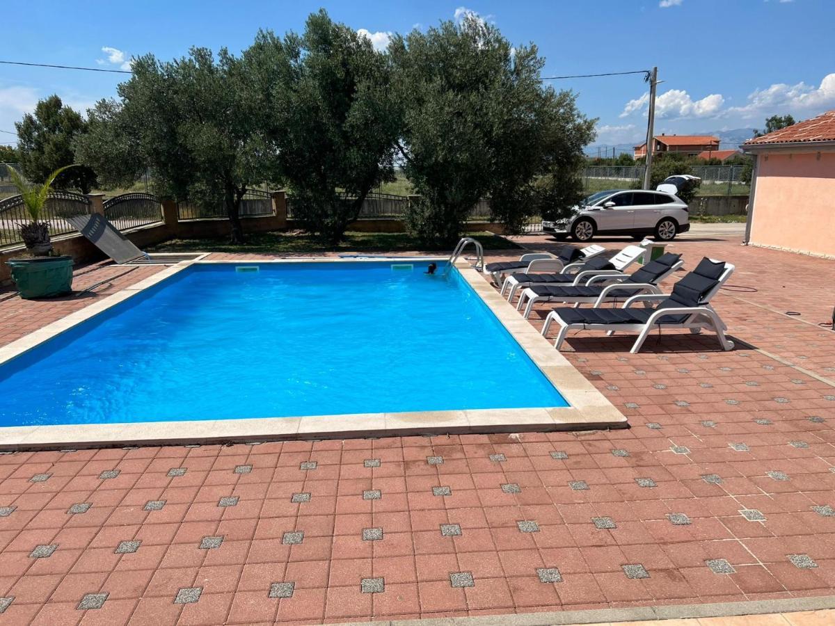 Villa Paludo Novigrad  Eksteriør billede