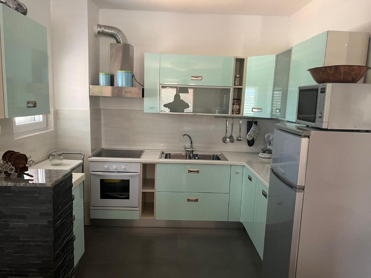 Villa Paludo Novigrad  Eksteriør billede