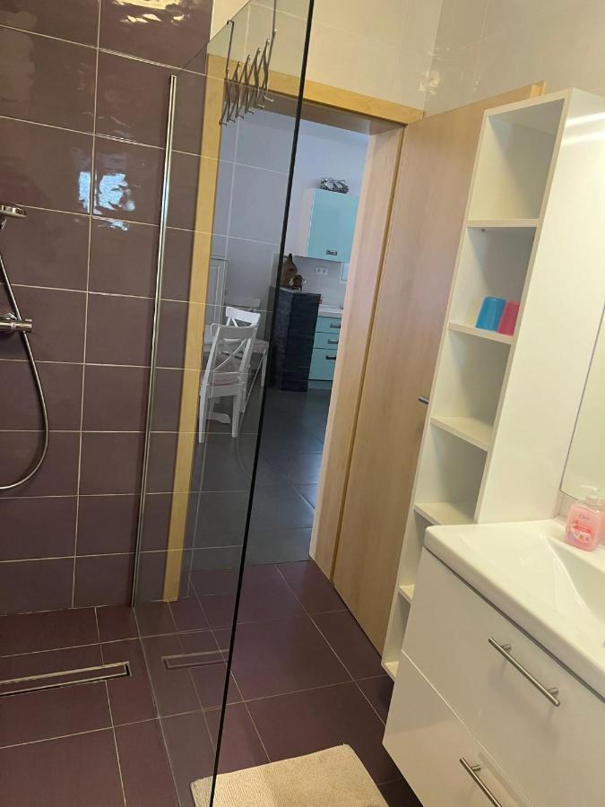 Villa Paludo Novigrad  Eksteriør billede
