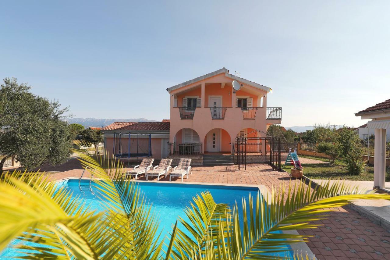 Villa Paludo Novigrad  Eksteriør billede